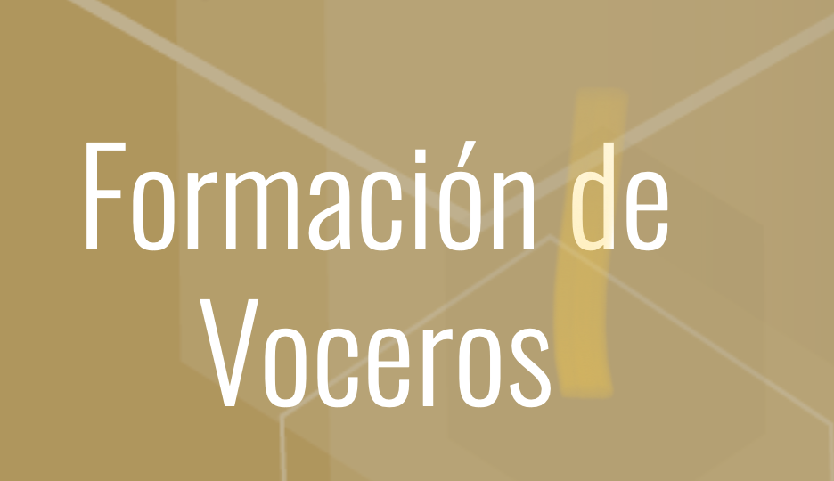 FORMACIÓN DE VOCEROS. CURSO EN LÍNEA